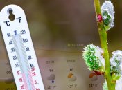 Прогноз погоды