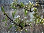 18-24 апреля в Украине ожидаются дожди