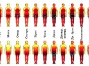 Составлена карта частей тела, которые можно и нельзя трогать 