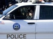 Аферу в особо крупных размерах раскрыли в США