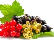 Смородина в детском питании