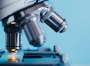 Надо было просто покормить: ученые "воскресили" бактерий, возрастом в 100 млн лет