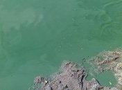 В реке Ингулец избыточное загрязнение