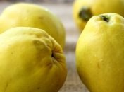 Полезные свойства айвы