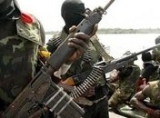 В Нигерии военные ликвидировали почти 90 боевиков