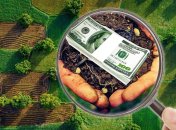 С 1 июля в Украине заработает рынок земли: что важно знать (инфографика)