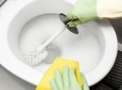 Идеальный унитаз при минимуме усилий и затрат