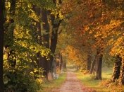 Погода: сегодня жарко и солнечно, но надвигается похолодание и заморозки