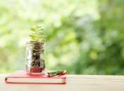 Лавровый лист в кошельке символизирует удачу и процветание