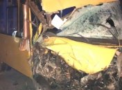 На Миколаївщині сталося ДТП за участю маршрутки