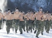 В КНДР призвали правильно употреблять спиртные напитки