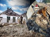 Пес Крым на руинах дома