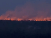 Горит заповедная зона