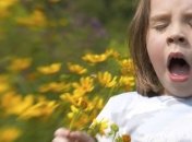 Методика борьбы с весенней аллергией 