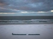 Флорида готовятся к очень холодной ночи  