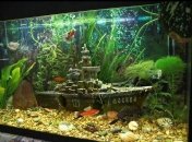 путин не любит гусей, потому что те кричат "Гаага": смешные шутки и мемы о россиянах