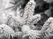 8 января. Приметы дня