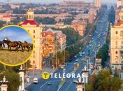 Табун лошадей в Запорожье