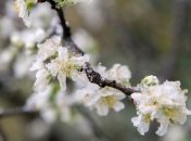 Украину на неделю накроет похолодание