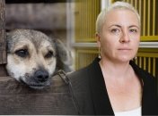 Зоозащитники утверждают, что Наталья Мазур виновна в гибели 222 собак в Бородянском приюте