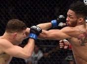UFC on Fox 31. Результаты боев