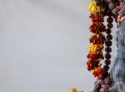 Повседневная жизнь в Индии: яркие и красочные снимки за январь (Фото)