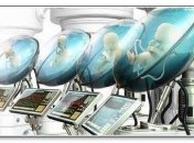 «Цифровые эмбрионы» помогут выявить патологии развития плода