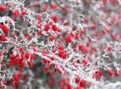 Синоптики рассказали, где пройдет снег 18 ноября