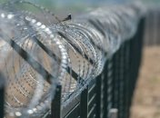 Люксембург оградится стеной от африканской чумы