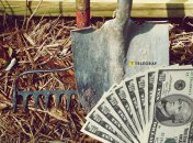 Що посадити на ділянці, щоб було більше грошей та удачі