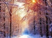 Погода на 20 декабря: гололедица, умеренный снег и дождь