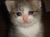 Овен, Рак та Водолій можуть скоро втратити гроші