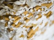 США на исследования вреда табака потратят $273 млн