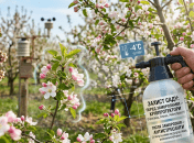 Чем обработать сад весной перед похолоданием