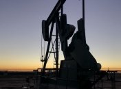 "Чорне золото" росте у вартості 