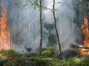 Лесные пожары в Канаде и России вызывают климатическое нагревание Земли