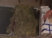 Искали угнанный мопед: полицейские Херсонщины обнаружили 15 кг наркотиков