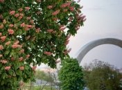 В Киеве появятся новые скверы