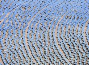 Новая солнечная станция имеет нежелательный побочный эффект