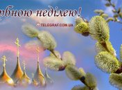 Вербна неділя 2021: що категорично заборонено робити в це свято