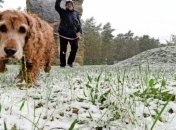 Германию впервые за полвека накрыло снегом посреди мая (фото и видео)