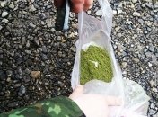 На КПВВ "Новотроицкое" правоохранители изъяли 5 пакетов марихуаны