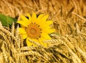 Как подготовиться к беременности: 3 важных шага