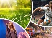 Что мы искали в поиске Google на прошлой неделе (25.02 - 03.03)