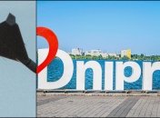 У ніч на 2 січня на Дніпропетровщині було гучно