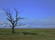 Исследователи ищут радикальные методы спасения климата Земли