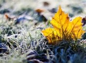 В Украине ожидаются заморозки