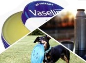 Речь пойдет о джакузи, фрисби, термосе, вазелине и фурминаторе