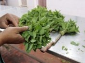 Чай с мятой помогает похудеть