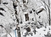 Сегодня Украину будет засыпать снегом